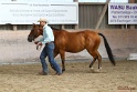 21-ApHC HMC_075